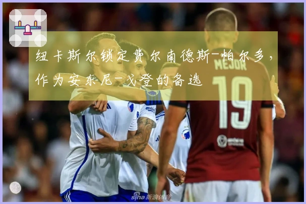 纽卡斯尔锁定费尔南德斯-帕尔多，作为安东尼-戈登的备选
